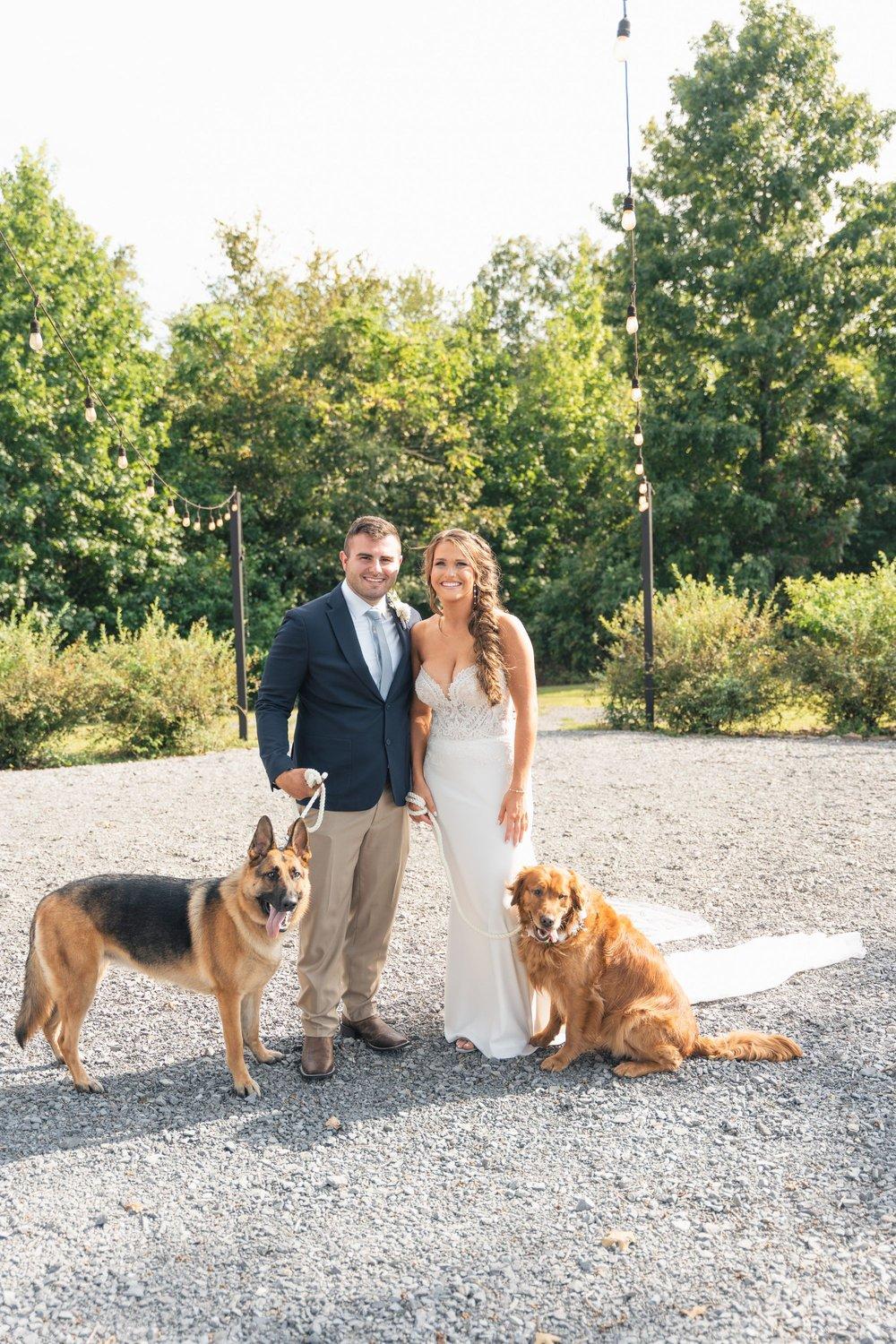 carousel-hero-element image-5