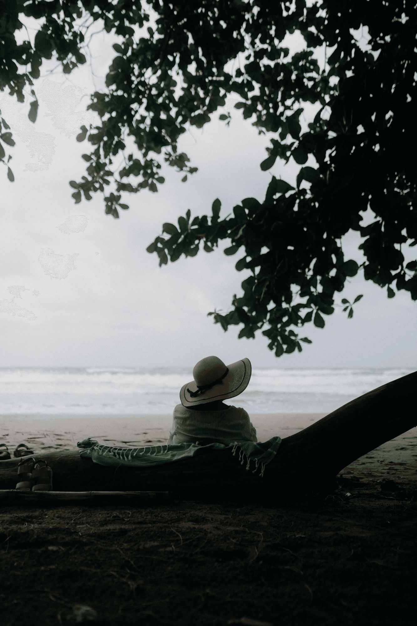 Blog